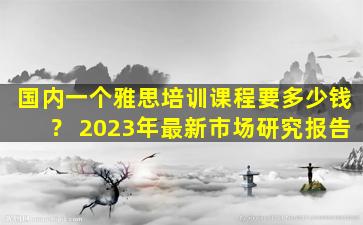 国内一个雅思培训课程要多少钱？ 2023年最新市场研究报告